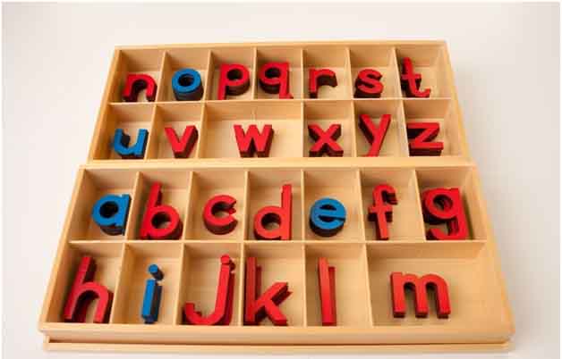 Montessori Movable Alphabet - Lowercase Uppercase Letters - Houston TX