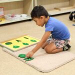 How the Montessori Leaf Cabinet Cultivates Fine Motor Skills and Coordination