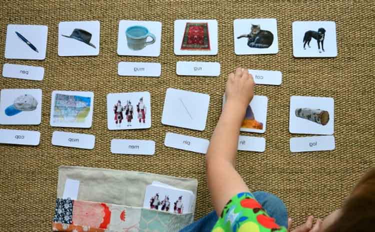 montessori-three-part-cards