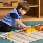 Top 5 Montessori Sensorial Activities to Boost Early Cognitive Skills