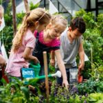 Creating a Montessori-Inspired Outdoor Learning Space