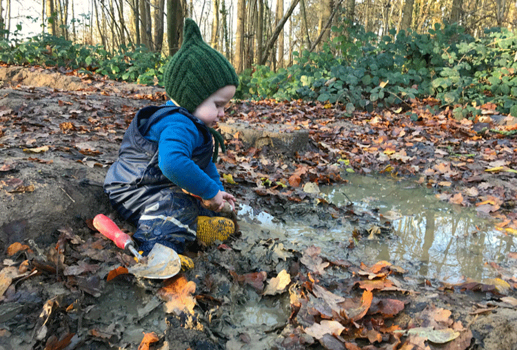 montessori-forest